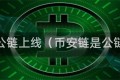 币安公链上线（币安链是公链吗）
