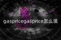 gaspricegasprice怎么填