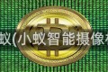 小蚁(小蚁智能摄像机)