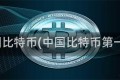 中国比特币(中国比特币第一人)