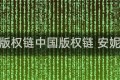 中国版权链中国版权链 安妮股份