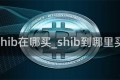 shib在哪买_shib到哪里买