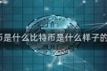 比特币是什么比特币是什么样子的图片