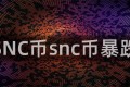 SNC币snc币暴跌