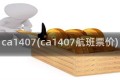 ca1407(ca1407航班票价)