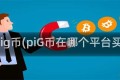 pig币(piG币在哪个平台买)