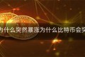 比特币为什么突然暴涨为什么比特币会突然暴跌
