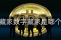 数字藏家数字藏家是哪个公司