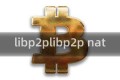 libp2plibp2p nat