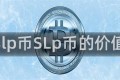 slp币SLp币的价值