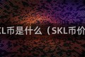 SKL币是什么（SKL币价）