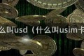 什么叫usd（什么叫usim卡）