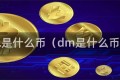 DML是什么币（dm是什么币种）
