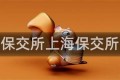 上海保交所上海保交所下载
