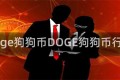 doge狗狗币DOGE狗狗币行情