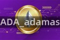 ADA_adamas