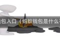 小蚁钱包入口（蚂蚁钱包是什么平台）