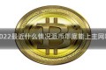 派币2022最近什么情况派币年底能上主网吗简介