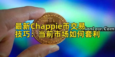 最新Chappie币交易技巧：当前市场如何套利