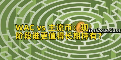 WAC vs 主流币：现阶段谁更值得长期持有？