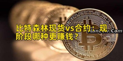 比特森林现货vs合约：现阶段哪种更赚钱？