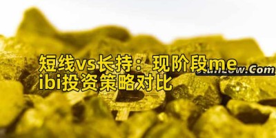 短线vs长持：现阶段meibi投资策略对比