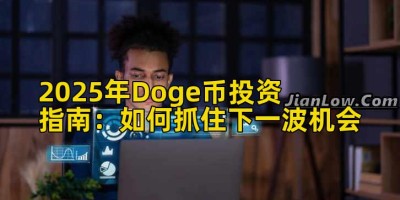 2025年Doge币投资指南：如何抓住下一波机会