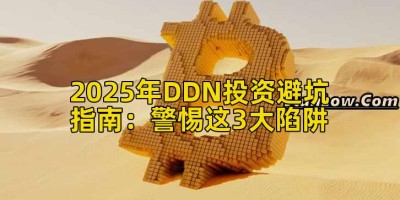 2025年DDN投资避坑指南：警惕这3大陷阱