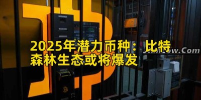 2025年潜力币种：比特森林生态或将爆发