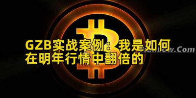 GZB实战案例：我是如何在明年行情中翻倍的