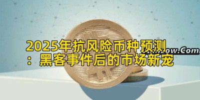 2025年抗风险币种预测：黑客事件后的市场新宠