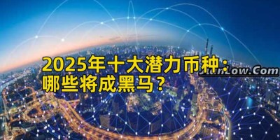 2025年十大潜力币种：哪些将成黑马？