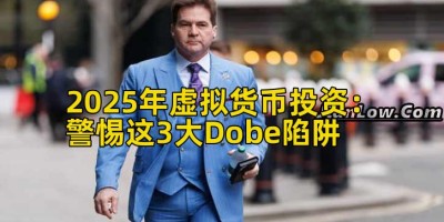 2025年虚拟货币投资：警惕这3大Dobe陷阱