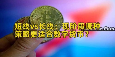 短线vs长线：现阶段哪种策略更适合数字货币？