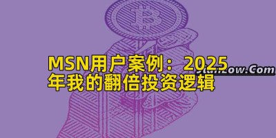 MSN用户案例：2025年我的翻倍投资逻辑