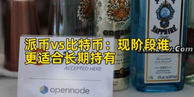 派币vs比特币：现阶段谁更适合长期持有