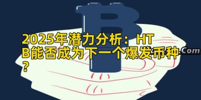 2025年潜力分析：HTB能否成为下一个爆发币种？