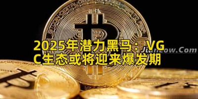 2025年潜力黑马：VGC生态或将迎来爆发期