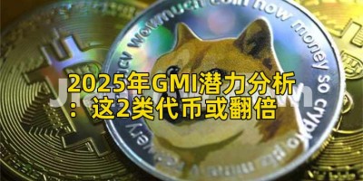 2025年GMI潜力分析：这2类代币或翻倍