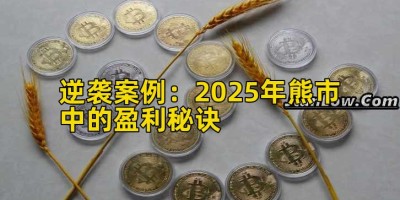 逆袭案例：2025年熊市中的盈利秘诀