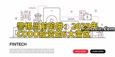 警惕当前陷阱：2025年CODO投资的5大雷区