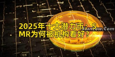 2025年十大潜力币：SMR为何被机构看好？