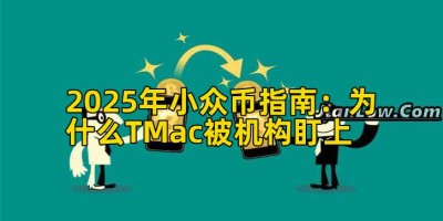 2025年小众币指南：为什么TMac被机构盯上