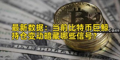 最新数据：当前比特币巨鲸持仓变动暗藏哪些信号？