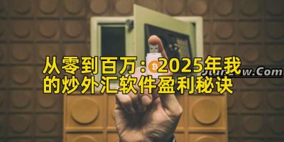 从零到百万：2025年我的炒外汇软件盈利秘诀
