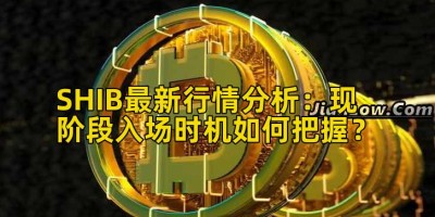 SHIB最新行情分析：现阶段入场时机如何把握？