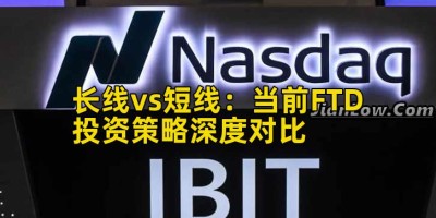 长线vs短线：当前FTD投资策略深度对比