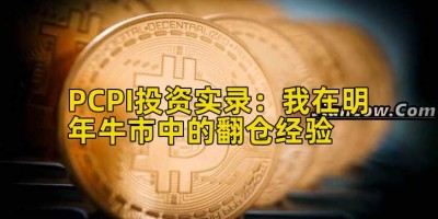PCPI投资实录：我在明年牛市中的翻仓经验