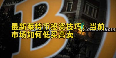 最新莱特币投资技巧：当前市场如何低买高卖