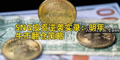 SNG投资逆袭实录：明年牛市翻仓策略